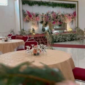 Paket Wedding di Gedung Galaxy Tajur Bogor