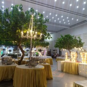 Paket Wedding di Gedung BK3S Surabaya
